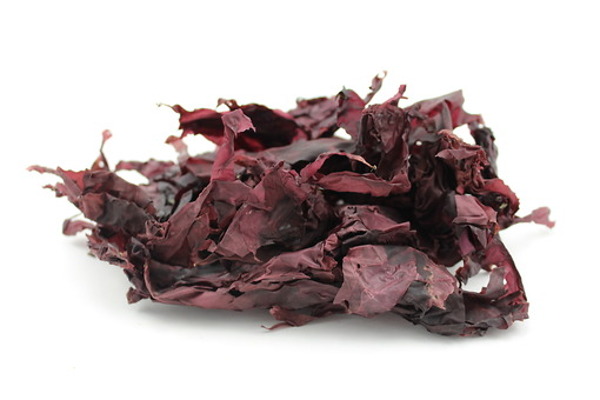 Dulse