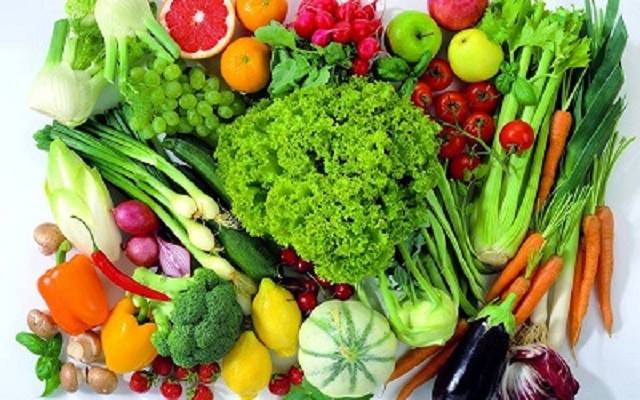 Workshop de Vegetais e Nutrição