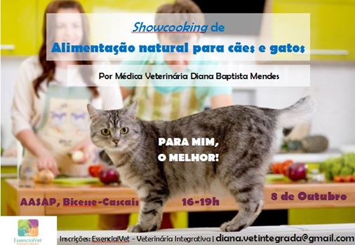  Showcooking de Alimentação Natural para Cães e Gatos