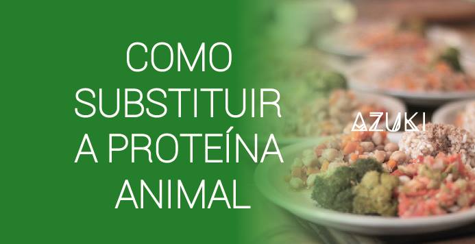 Como Substituir a Proteína Animal